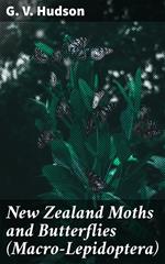 New Zealand Moths and Butterflies (Macro-Lepidoptera)