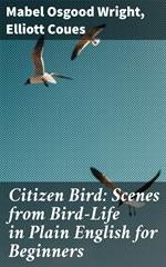 Citizen Bird: Scenes from Bird-Life in Plain English for Beginners