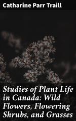 Studies of Plant Life in Canada: Wild Flowers, Flowering Shrubs, and Grasses