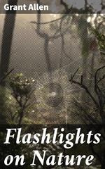 Flashlights on Nature