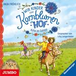 Wir Kinder vom Kornblumenhof. Kühe im Galopp [Band 3]