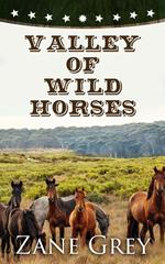 Valley of Wild Horses