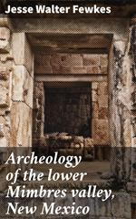 Archeology of the lower Mimbres valley, New Mexico