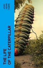 The Life of the Caterpillar