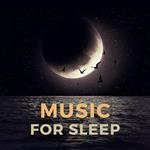 Music For Sleep