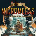 Micromegas