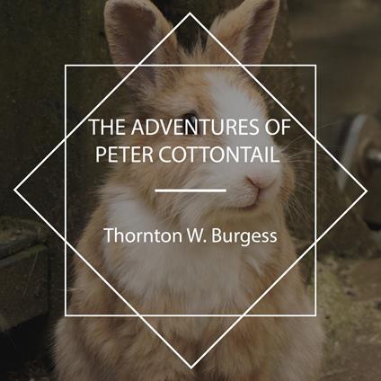 The Adventures of Peter Cottontail