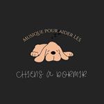 Musique pour aider les chiens à dormir