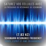 Saturez vos cellules avec la fréquence de résonance de Schumann (7,83 Hz)
