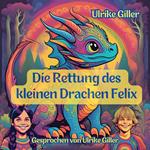 Die Rettung des kleinen Drachen Felix