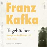Franz Kafka - Tagebücher