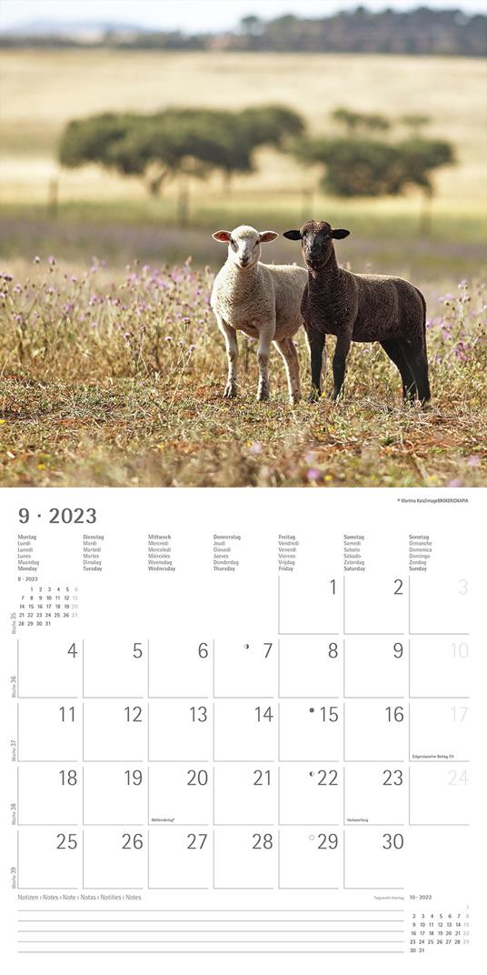 Alpha Edition - Calendario 2024 da muro Animal Frienship, 12 mesi, 30x30 cm  - Alpha Edition - Cartoleria e scuola