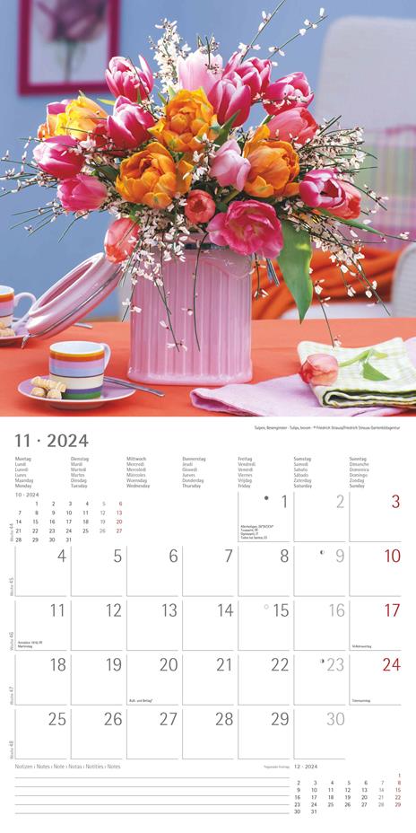 Alpha Edition - Calendario 2024 da muro Flowers, 12 mesi, 30x30 cm - 13