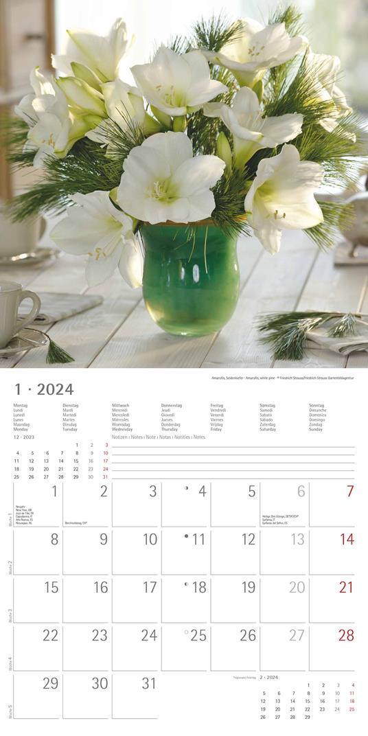 Alpha Edition - Calendario 2024 da muro Flowers, 12 mesi, 30x30 cm - 3
