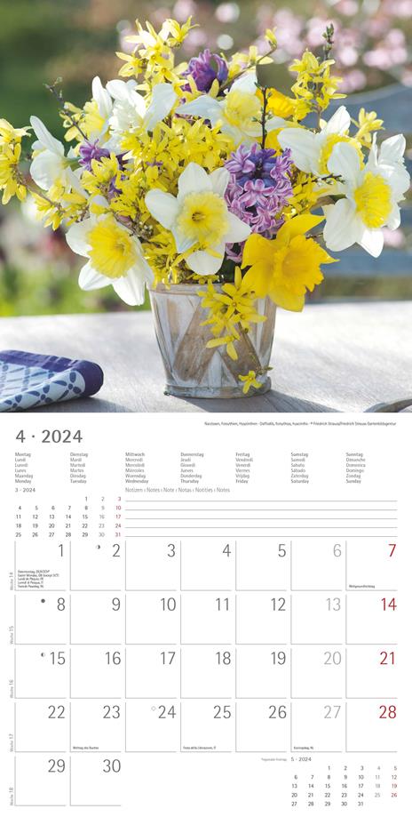 Alpha Edition - Calendario 2024 da muro Flowers, 12 mesi, 30x30 cm - 6