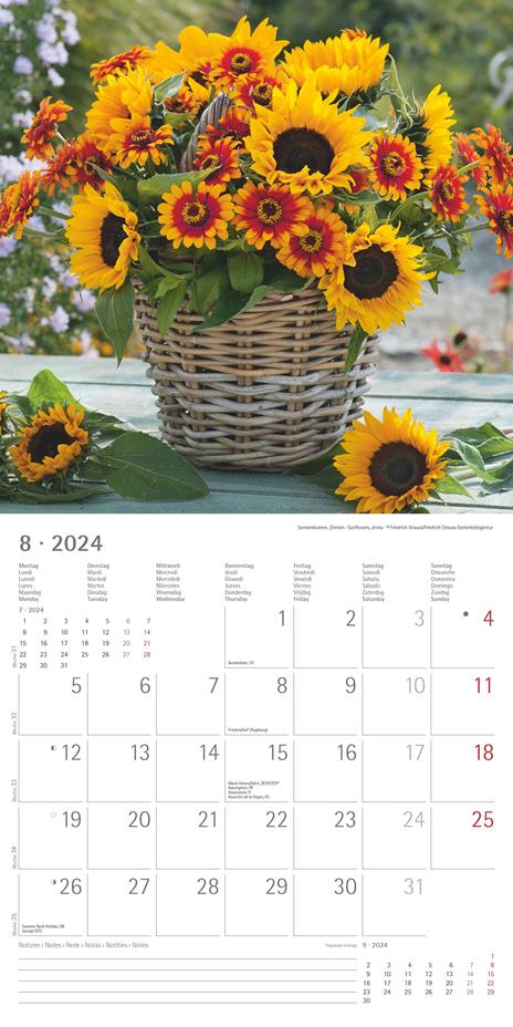 Alpha Edition - Calendario 2024 da muro Flowers, 12 mesi, 30x30 cm - 10