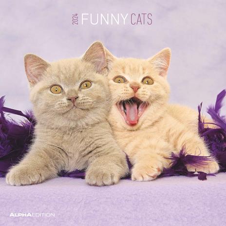 Alpha Edition - Calendario 2024 da muro Funny Cats, 12 mesi, 30x30 cm