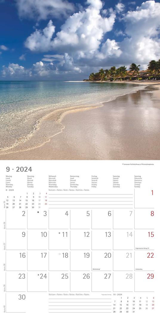 Alpha Edition - Calendario 2024 da muro Summerdreams, 12 mesi, 30x30 cm -  Alpha Edition - Cartoleria e scuola