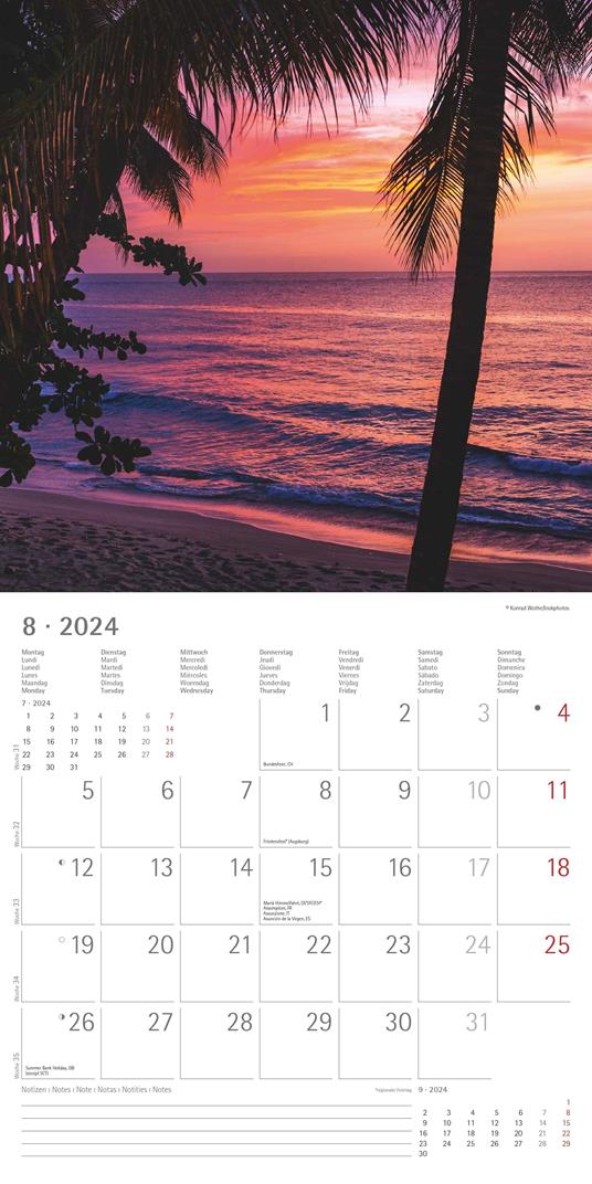 Alpha Edition - Calendario 2024 da muro Summerdreams, 12 mesi, 30x30 cm - Alpha  Edition - Cartoleria e scuola