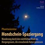 Mondschein-Spaziergang - Phantasiereise: Wanderung durch den nächtlichen Wald ins Morgengrauen, die erwachende Natur geniessen