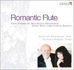 Romantic Flute. Sonata Fantasia Op.17