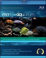 Marine Aquarium