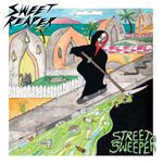 Street Sweeper