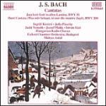 Cantate BWV51, BWV208 - CD Audio di Johann Sebastian Bach