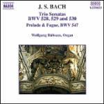 Sonate BWV528, BWV529, BWV530
