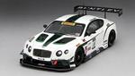 Bentley Gt3 #8 Dyson Racong 3Rd Place Sonoma Grand Prix 2014 1:43 Model Riptsm154318