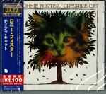 Cheshire Cat (Limited)