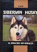 Siberian Husky. Il principe dei ghiacci