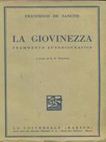 La giovinezza