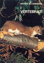 I vertebrati