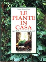 Le piante in casa