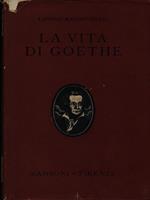 La vita di Goethe