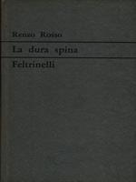 dura spina