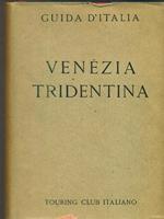 Venezia tridentina e Cadore