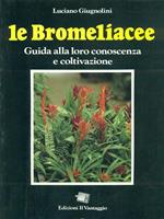 Le bromeliacee