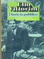 Diario in pubblico