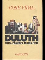 Duluth. Tutta l'America in una città