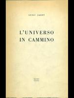 L' univewrso in cammino