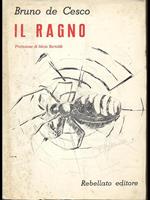 Il ragno