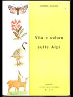 Vita e colore sulle Alpi