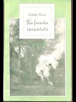 La foresta incantata