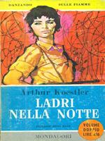 Ladri nella notte