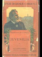 Juvenilia IV