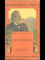 Juvenilia V