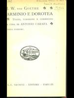 Arminio e Dorotea