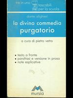 La Divina Commedia. Purgatorio. Questioni, temi e ricerche